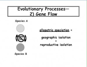 BIODIVERSITAS-5-6-evolusi dan spesiasi